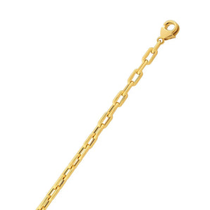 14k Yellow Gold Paperclip Chain Necklace (4.20 mm) RCJ